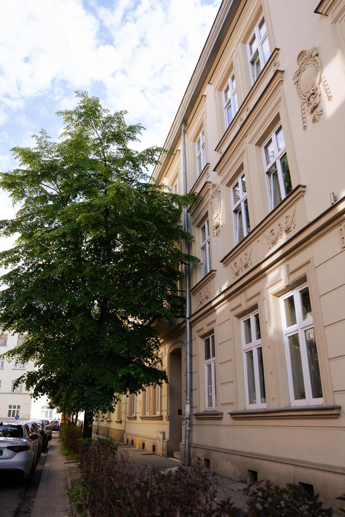 Traugutta Loft *